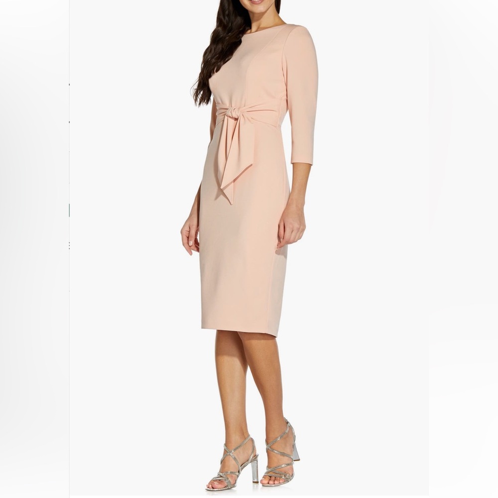 Adrianna Papell Blush Tie Waist Crepe
Sheath Dress